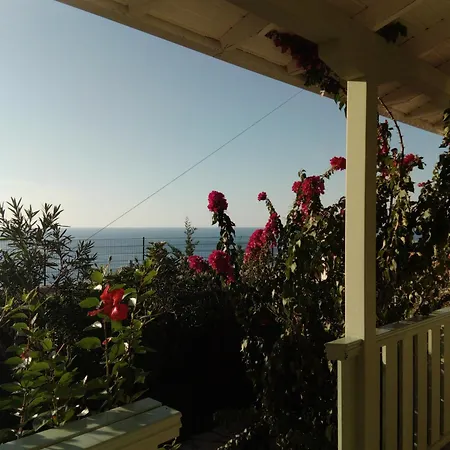 Deep Blue- Rosemary Sea View