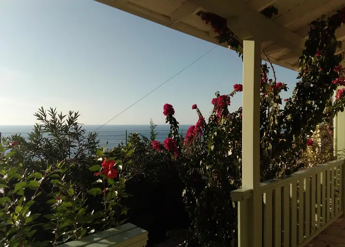 Deep Blue- Rosemary Sea View